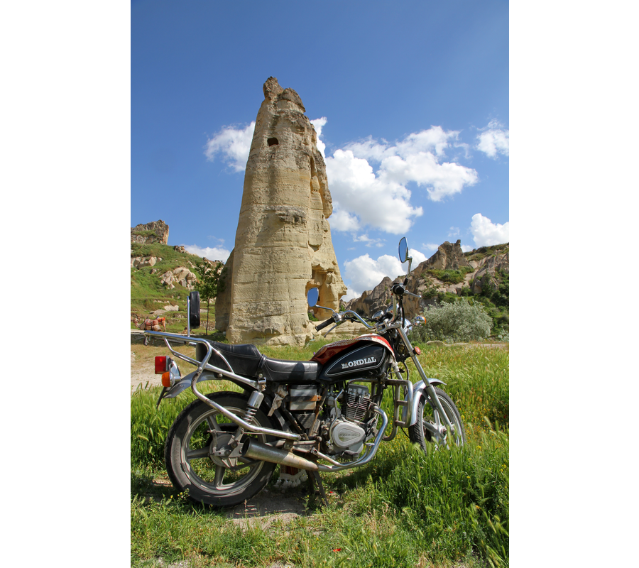 IMM_10857