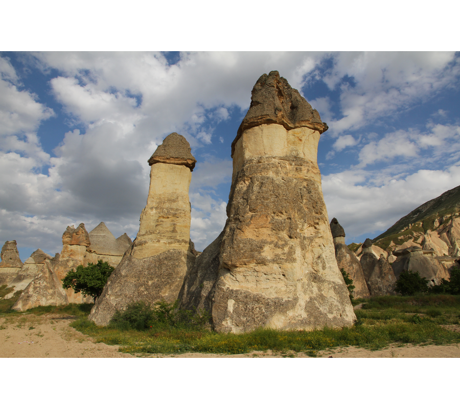 IMM_10983