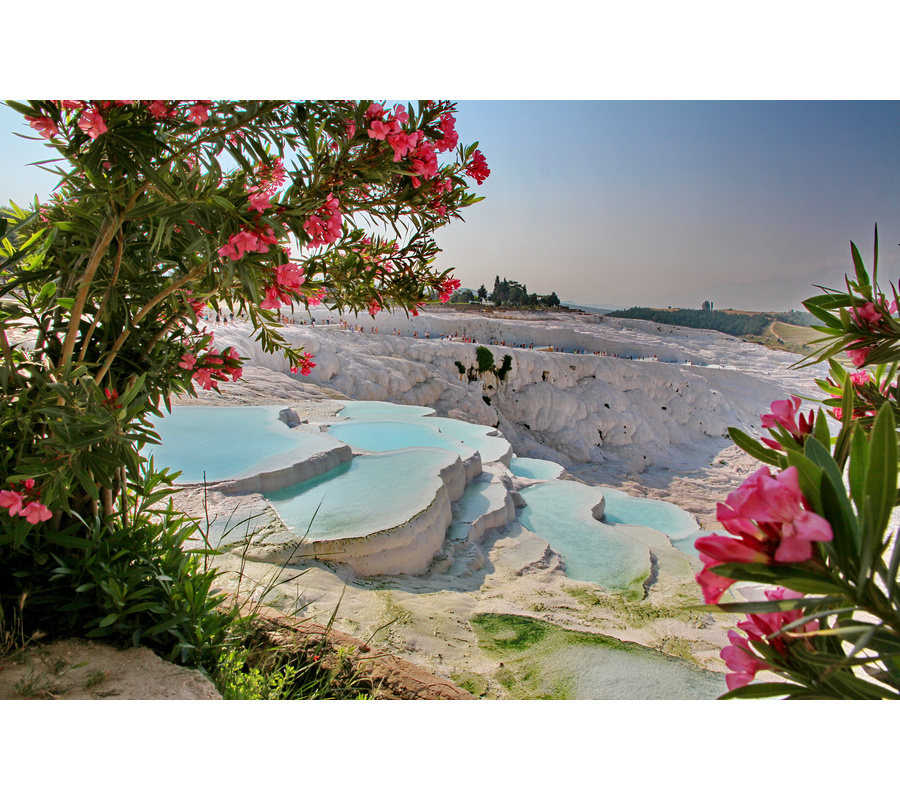 IMM_11384