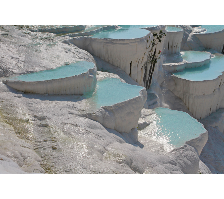 IMM_11393